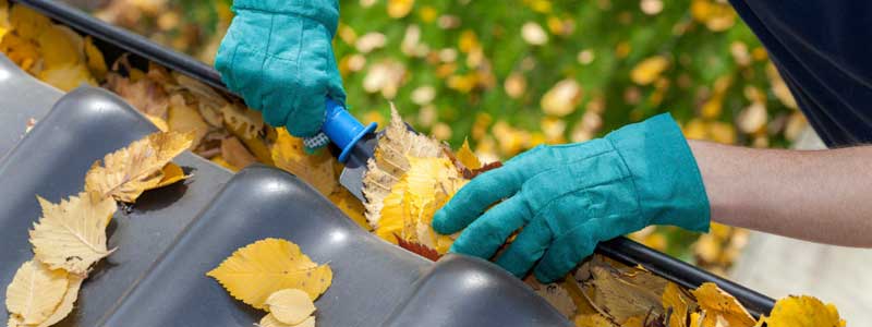 Autumn Plumbing Tips: Get your Drains Ready for Winter