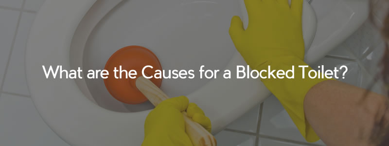 What are the Causes for a Blocked Toilet?