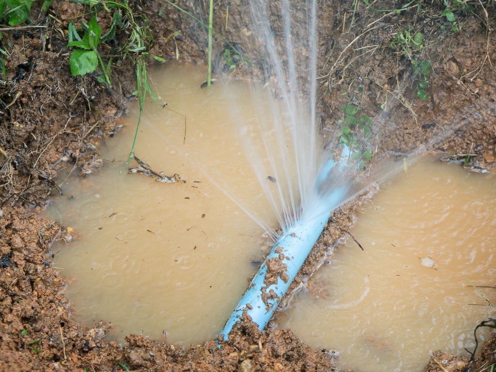 causes of drain blockages outside