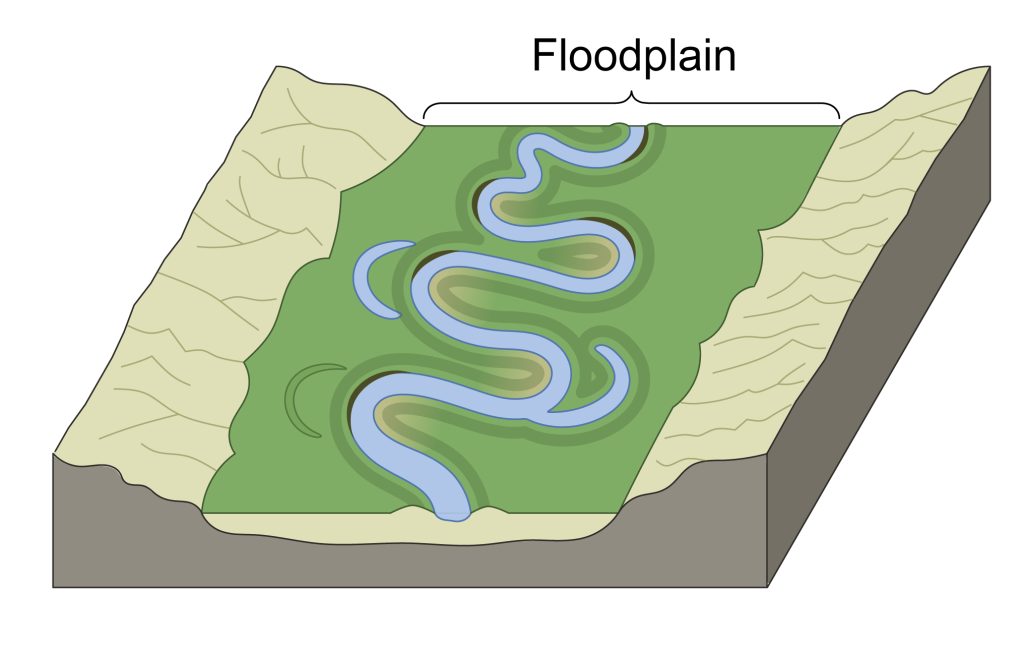 floodplain