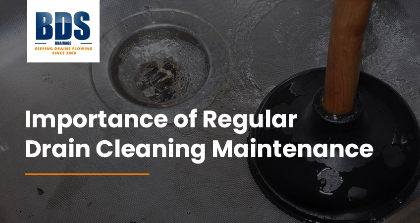 How to regularly clean and maintain your drains