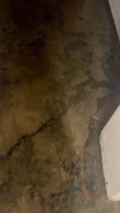 flooding emergency work