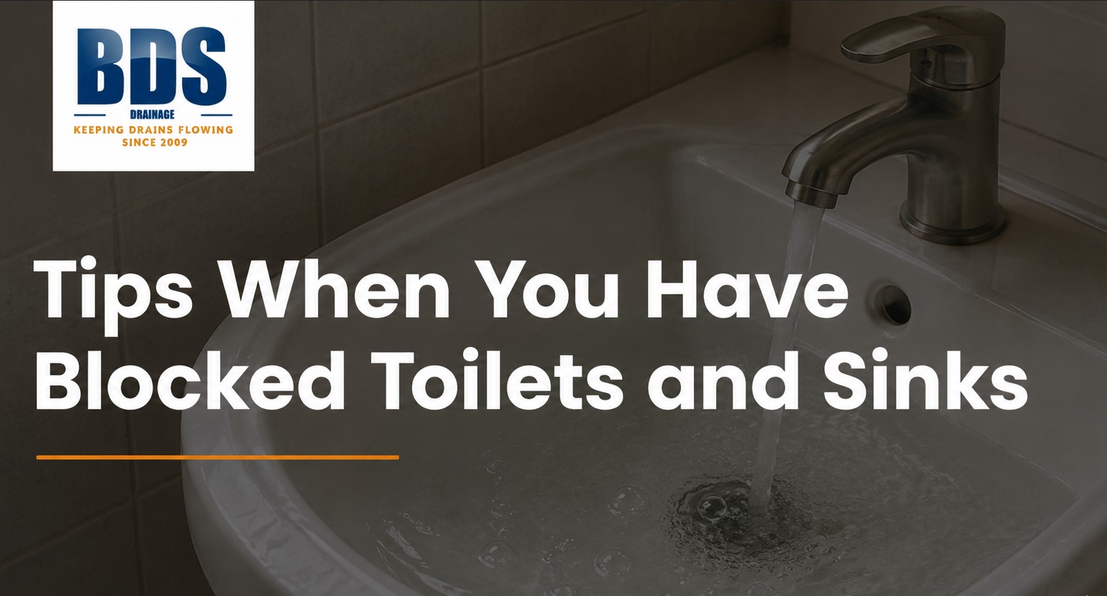 blocked toilet and sink